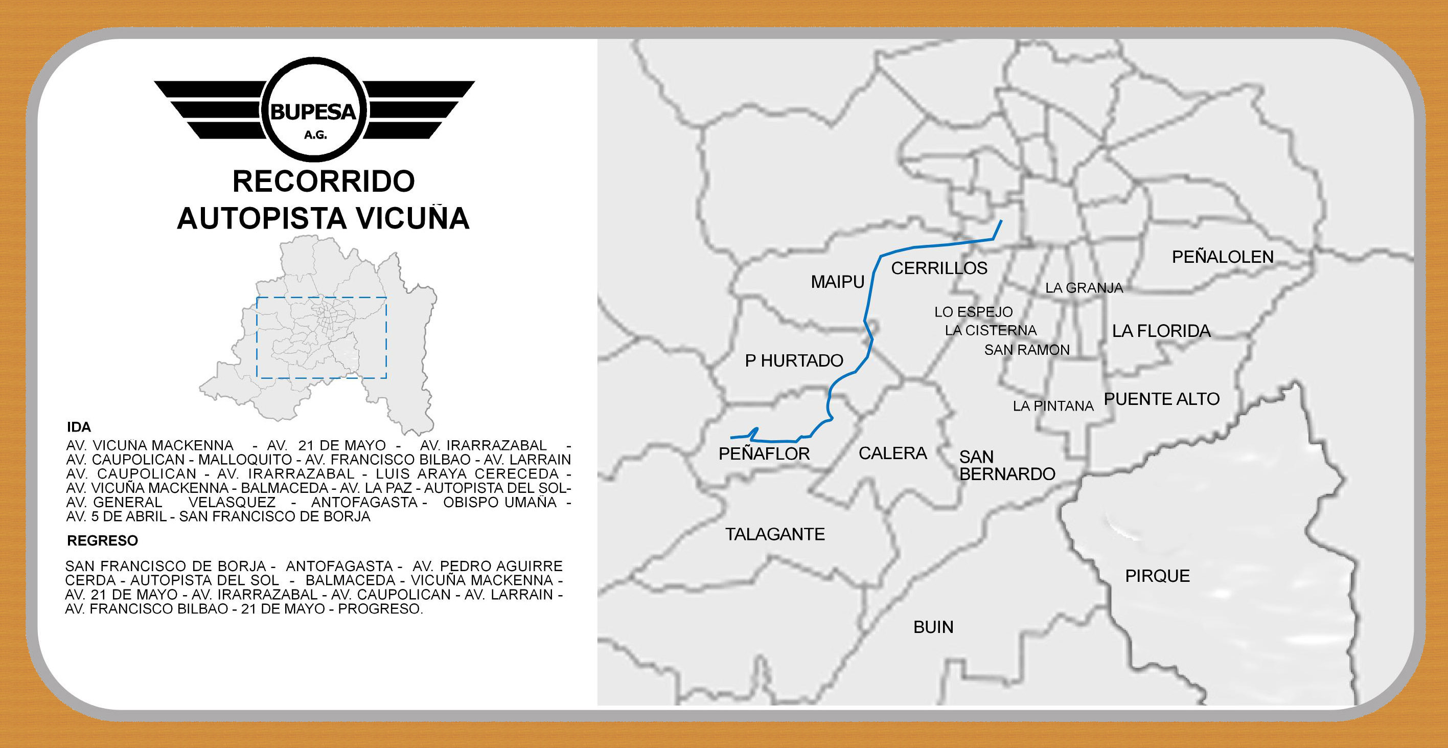 vicuña